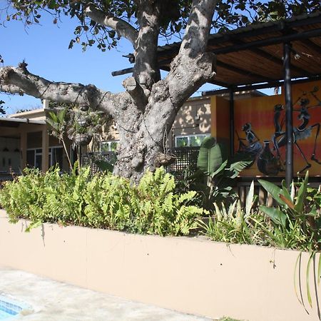 Planet Scuba Bed And Breakfast Ponta do Ouro Esterno foto