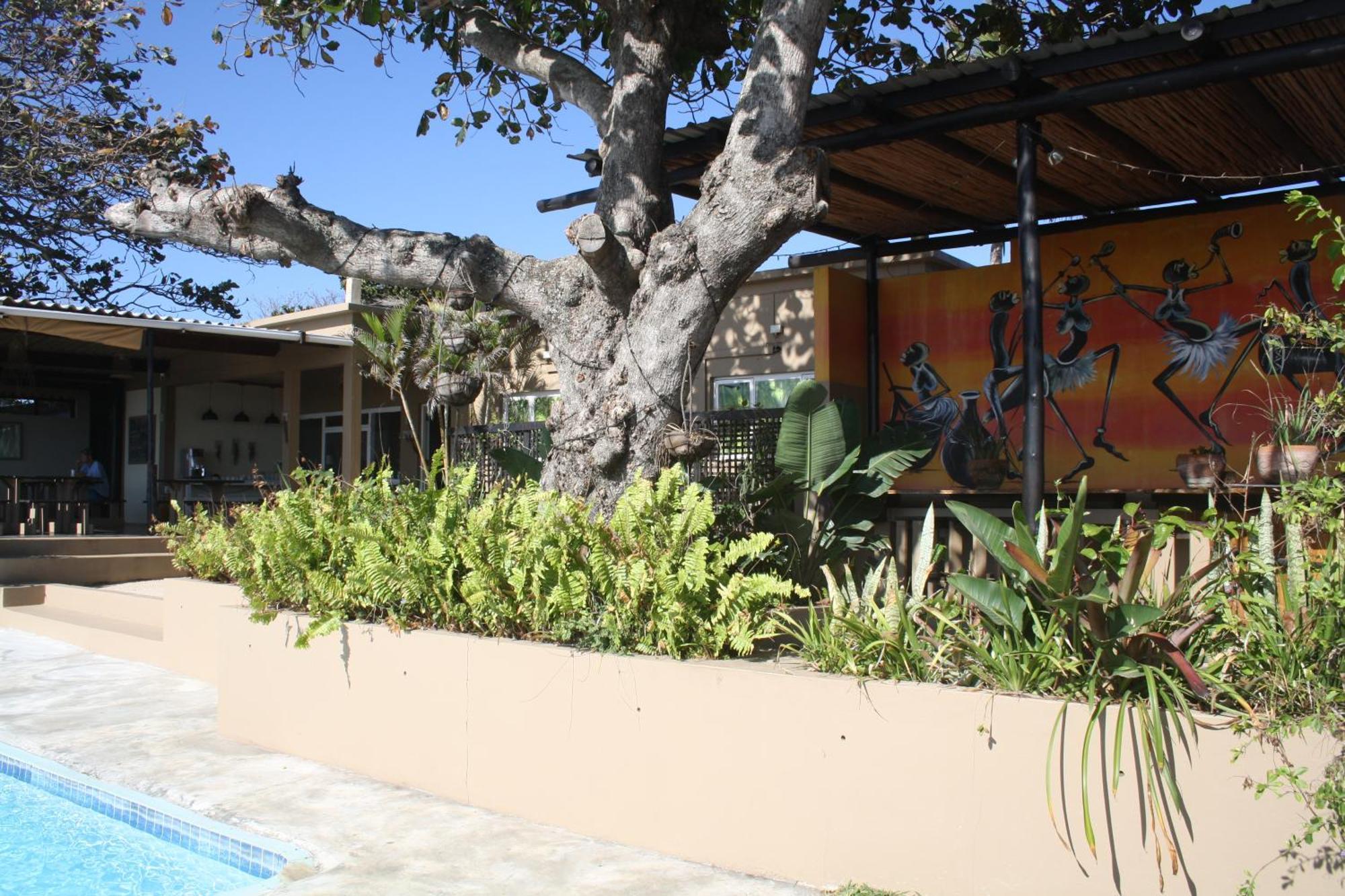 Planet Scuba Bed And Breakfast Ponta do Ouro Esterno foto